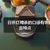 红梅茶独特口感解析