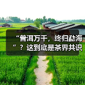 普洱茶产地神话？勐海并非终极答案
