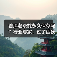 普洱老茶有保质期吗？长期保存与适饮期解析