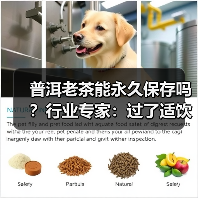 普洱老茶能永久保存吗？行业专家：过了适饮期，茶叶品质会下降（图3）