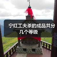 宁红工夫茶的成品共分几个等级(图2) 宁红工夫茶的成品共分几个等级(图2)