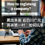 高温来袭 看四川广元“黄茶第一村”如何抗旱保茶(图4) 高温来袭 看四川广元“黄茶第一村”如何抗旱保茶(图4)