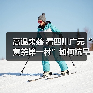 高温来袭 看四川广元“黄茶第一村”如何抗旱保茶(图2) 高温来袭 看四川广元“黄茶第一村”如何抗旱保茶(图2)