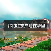 祁门红茶产地在哪里(图3) 祁门红茶产地在哪里(图3)