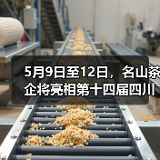 5月9日至12日，名山茶企将亮相第十四届四川国际茶博会（图4）