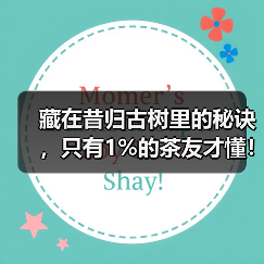 藏在昔归古树里的秘诀,只有1%的茶友才懂!(图1) 藏在昔归古树里的秘诀,只有1%的茶友才懂!(图1)