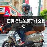日月潭红茶属于什么档次(图1) 日月潭红茶属于什么档次(图1)
