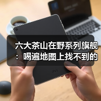 六大茶山在野系列旗舰 ：喝遍地图上找不到的狂野！（图2）