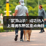 “蒙顶山茶”成功纳入上海浦东新区重点商标保护名录(图1) “蒙顶山茶”成功纳入上海浦东新区重点商标保护名录(图1)