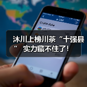 沐川上榜川茶“十强县” 实力藏不住了!(图4) 沐川上榜川茶“十强县” 实力藏不住了!(图4)