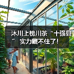 沐川上榜川茶“十强县” 实力藏不住了!(图1) 沐川上榜川茶“十强县” 实力藏不住了!(图1)