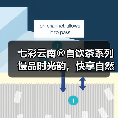 七彩云南®自饮茶系列 慢品时光韵，快享自然香（图3）
