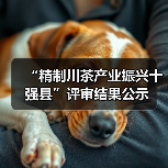 “精制川茶产业振兴十强县”评审结果公示（图3）