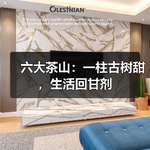 六大茶山:一柱古树甜,生活回甘剂(图4) 六大茶山:一柱古树甜,生活回甘剂(图4)