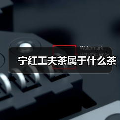 宁红工夫茶属于什么茶（图4）