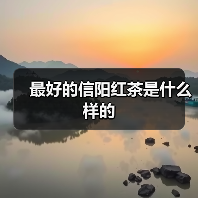 最好的信阳红茶是什么样的(图3) 最好的信阳红茶是什么样的(图3)