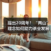 提出20周年!“两山”理念如何助力茶业发展?(图1) 提出20周年!“两山”理念如何助力茶业发展?(图1)