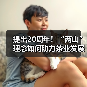 提出20周年!“两山”理念如何助力茶业发展?(图3) 提出20周年!“两山”理念如何助力茶业发展?(图3)