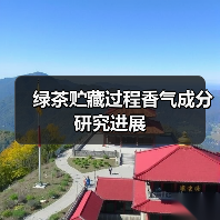 绿茶贮藏过程香气成分研究进展（图1）