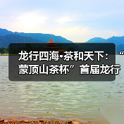 龙行四海·茶和天下：“蒙顶山茶杯”首届龙行十八式非遗技艺大赛精彩开赛（图1）
