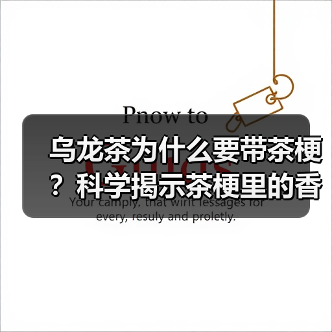 乌龙茶为什么要带茶梗?科学揭示茶梗里的香气密码(图2) 乌龙茶为什么要带茶梗?科学揭示茶梗里的香气密码(图2)