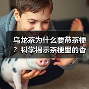 乌龙茶为什么要带茶梗?科学揭示茶梗里的香气密码(图1) 乌龙茶为什么要带茶梗?科学揭示茶梗里的香气密码(图1)