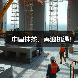 中国抹茶,再迎机遇!(图2) 中国抹茶,再迎机遇!(图2)