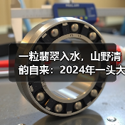 一粒翡翠入水，山野清韵自来：2024年一头大象翡翠龙珠（图3）