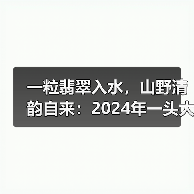 一粒翡翠入水，山野清韵自来：2024年一头大象翡翠龙珠（图1）