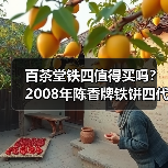 百茶堂铁四值得买吗?2008年陈香牌铁饼四代,长期看好(图4) 百茶堂铁四值得买吗?2008年陈香牌铁饼四代,长期看好(图4)