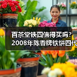 百茶堂铁四值得买吗?2008年陈香牌铁饼四代,长期看好(图3) 百茶堂铁四值得买吗?2008年陈香牌铁饼四代,长期看好(图3)