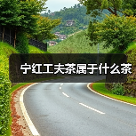 宁红工夫茶属于什么茶（图2）