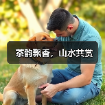 茶韵飘香,山水共赏(图2) 茶韵飘香,山水共赏(图2)