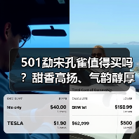501勐宋孔雀值得买吗?甜香高扬、气韵醇厚,曾是五只孔雀之首(图2) 501勐宋孔雀值得买吗?甜香高扬、气韵醇厚,曾是五只孔雀之首(图2)
