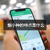 烟小种的特点是什么(图2) 烟小种的特点是什么(图2)