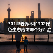 301早春乔木和302绿色生态青饼哪个好?勐海茶厂中期茶代表,详解(图3) 301早春乔木和302绿色生态青饼哪个好?勐海茶厂中期茶代表,详解(图3)