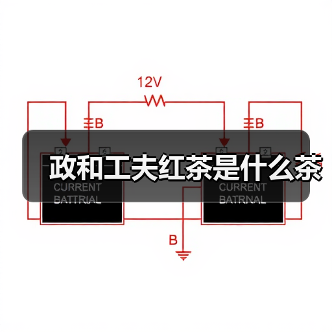 政和工夫红茶是什么茶(图2) 政和工夫红茶是什么茶(图2)