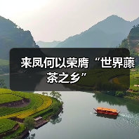 来凤何以荣膺“世界藤茶之乡”（图2）