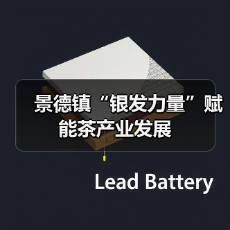 景德镇“银发力量”赋能茶产业发展(图3) 景德镇“银发力量”赋能茶产业发展(图3)