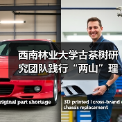 西南林业大学古茶树研究团队践行“两山”理论的途径(图1) 西南林业大学古茶树研究团队践行“两山”理论的途径(图1)