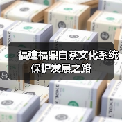 福建福鼎白茶文化系统保护发展之路（图2）