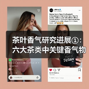 茶叶香气研究进展①：六大茶类中关键香气物质（图4）