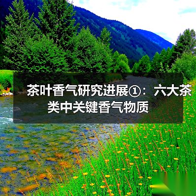 茶叶香气研究进展①：六大茶类中关键香气物质（图3）