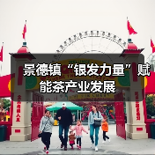 景德镇“银发力量”赋能茶产业发展(图1) 景德镇“银发力量”赋能茶产业发展(图1)