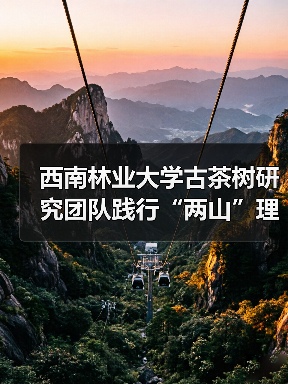西南林业大学古茶树研究团队践行“两山”理论的途径(图3) 西南林业大学古茶树研究团队践行“两山”理论的途径(图3)