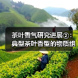茶叶香气研究进展②：典型茶叶香型的物质组成和作用关（图4）