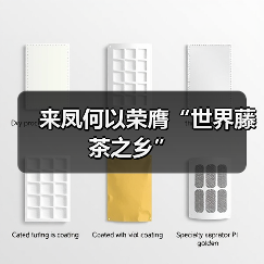 来凤何以荣膺“世界藤茶之乡”（图3）