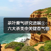 茶叶香气研究进展①：六大茶类中关键香气物质（图2）