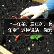 “一年茶，三年药，七年宝”这种说法，你怎么看?（图3）