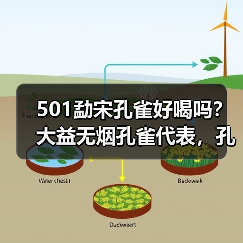501勐宋孔雀好喝吗?大益无烟孔雀代表,孔雀系列佼佼者(图2) 501勐宋孔雀好喝吗?大益无烟孔雀代表,孔雀系列佼佼者(图2)